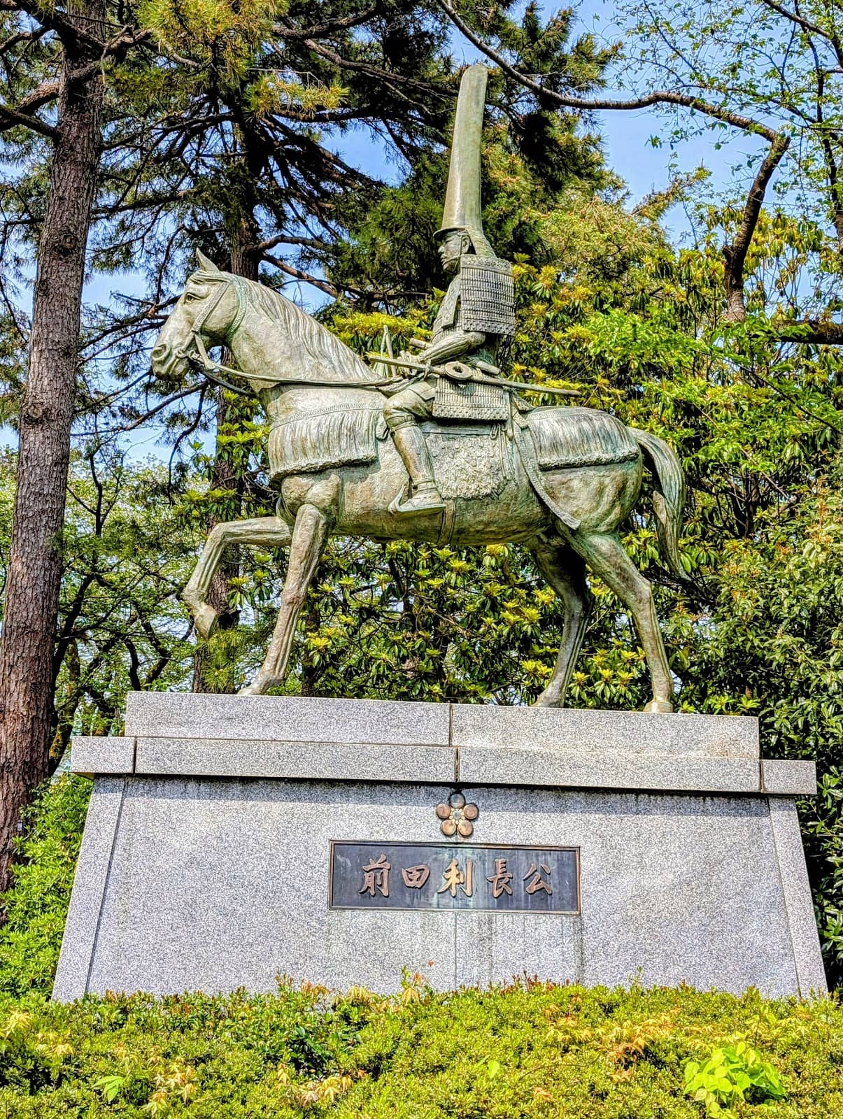 Spring Cherry Blossoms