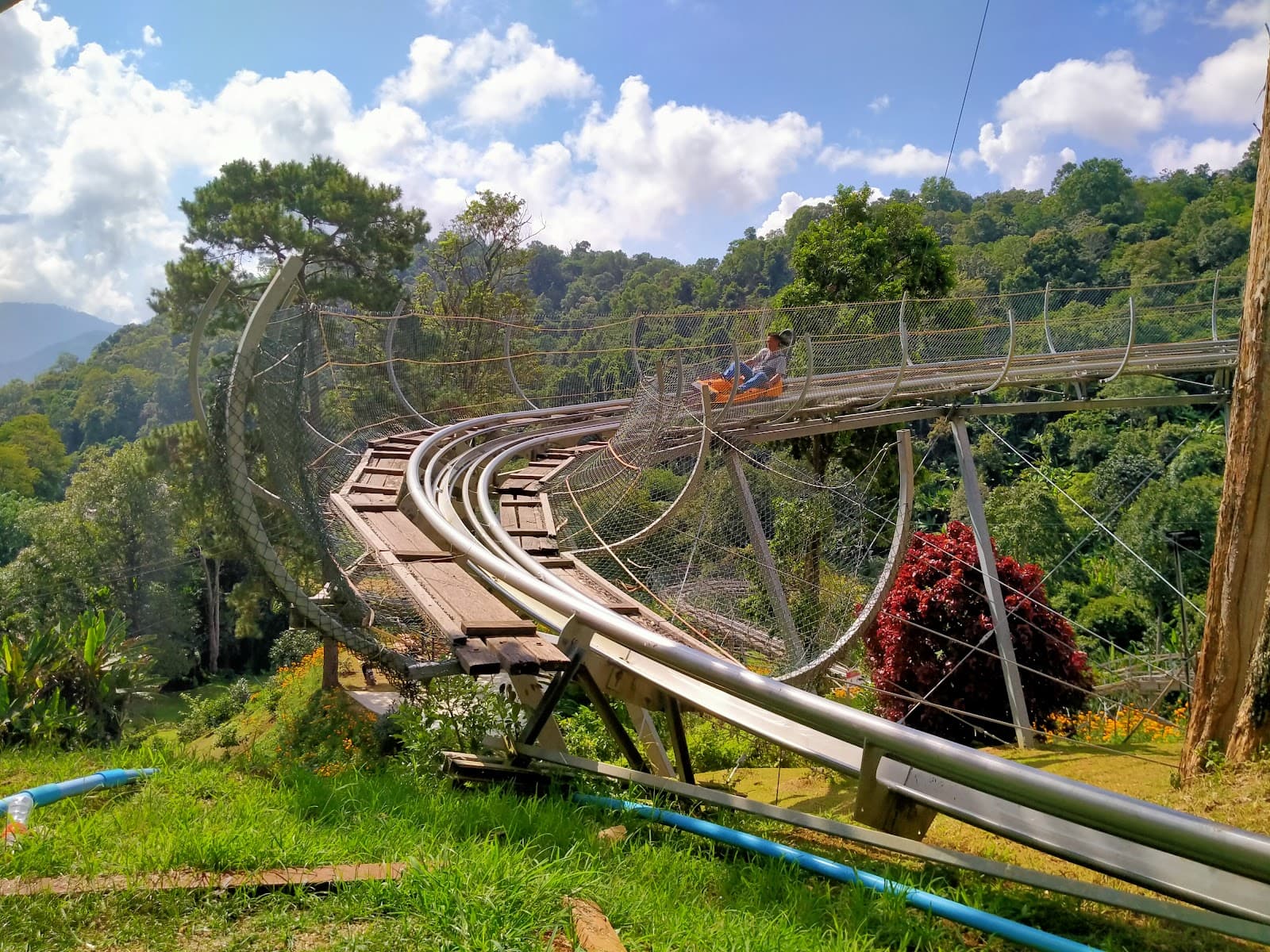 Pong Yang Jungle Coaster Chiang Mai - Image 1