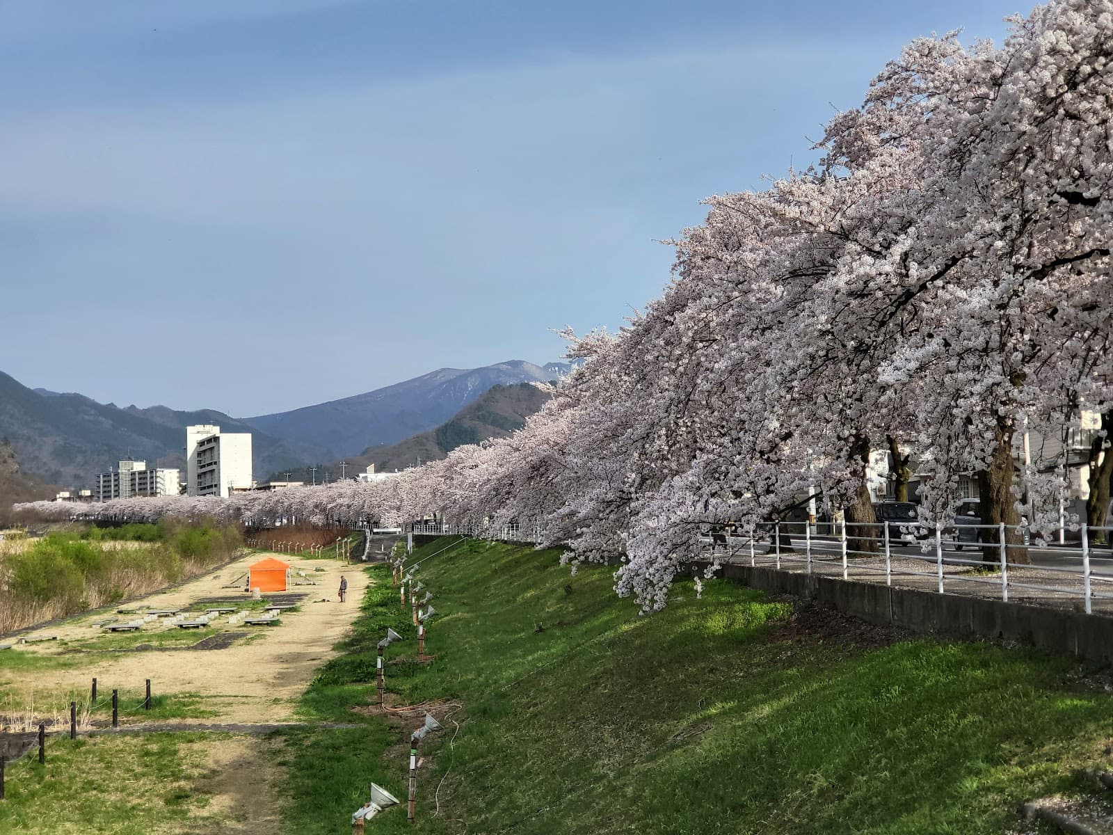 Mamigasaki River Cherry Blossom Line - Image 1