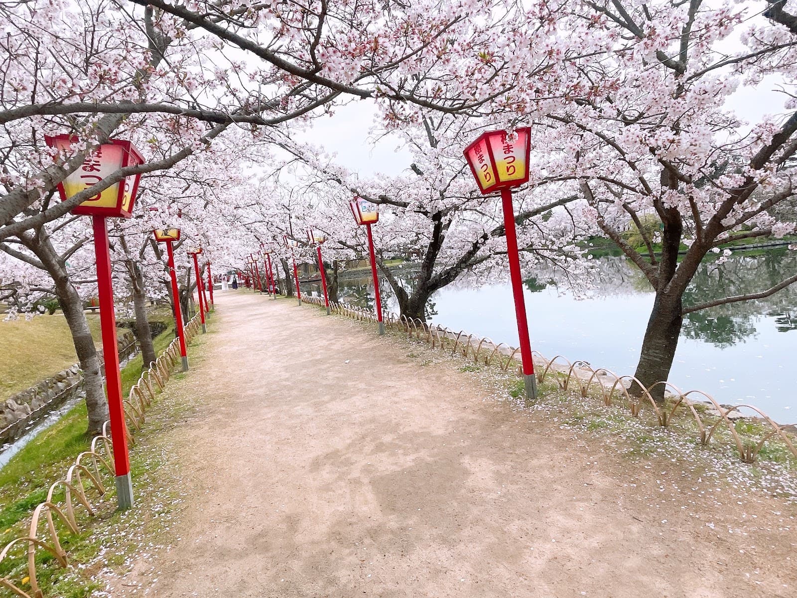 Ogi Park - Image 1