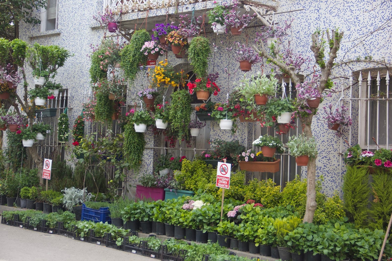 Büyükada - Image 1