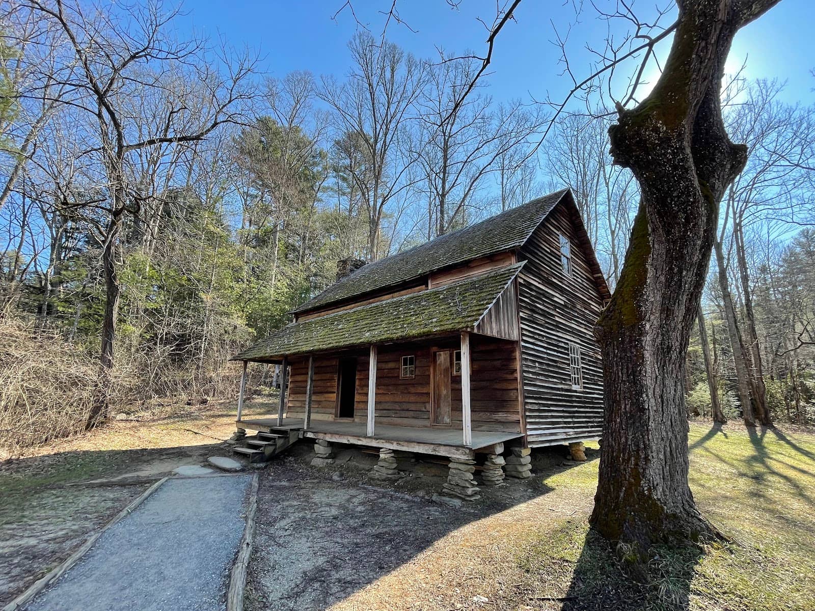 Wildlife Spotting Opportunities