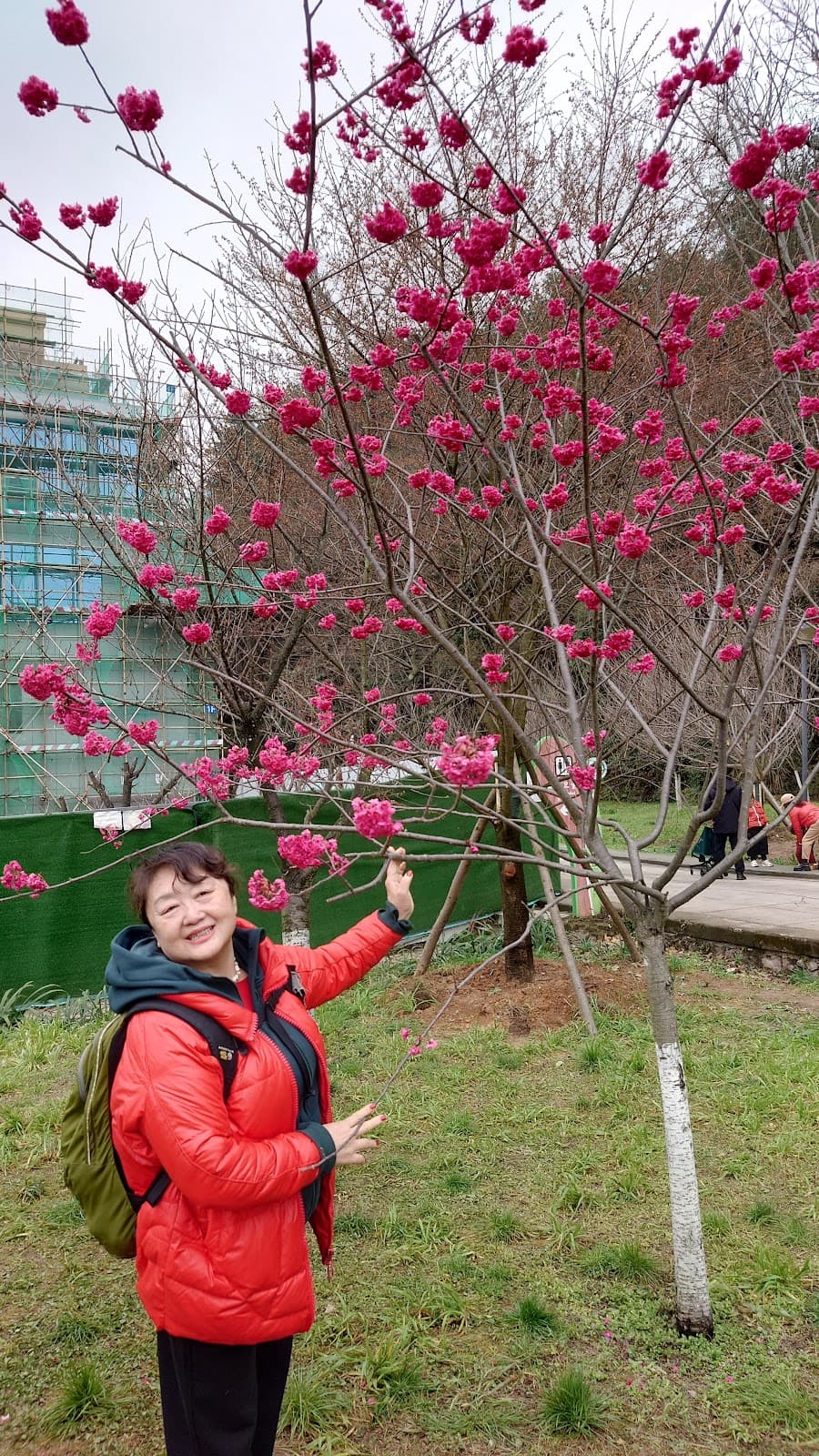 Guizhou Botanical Garden - Image 1