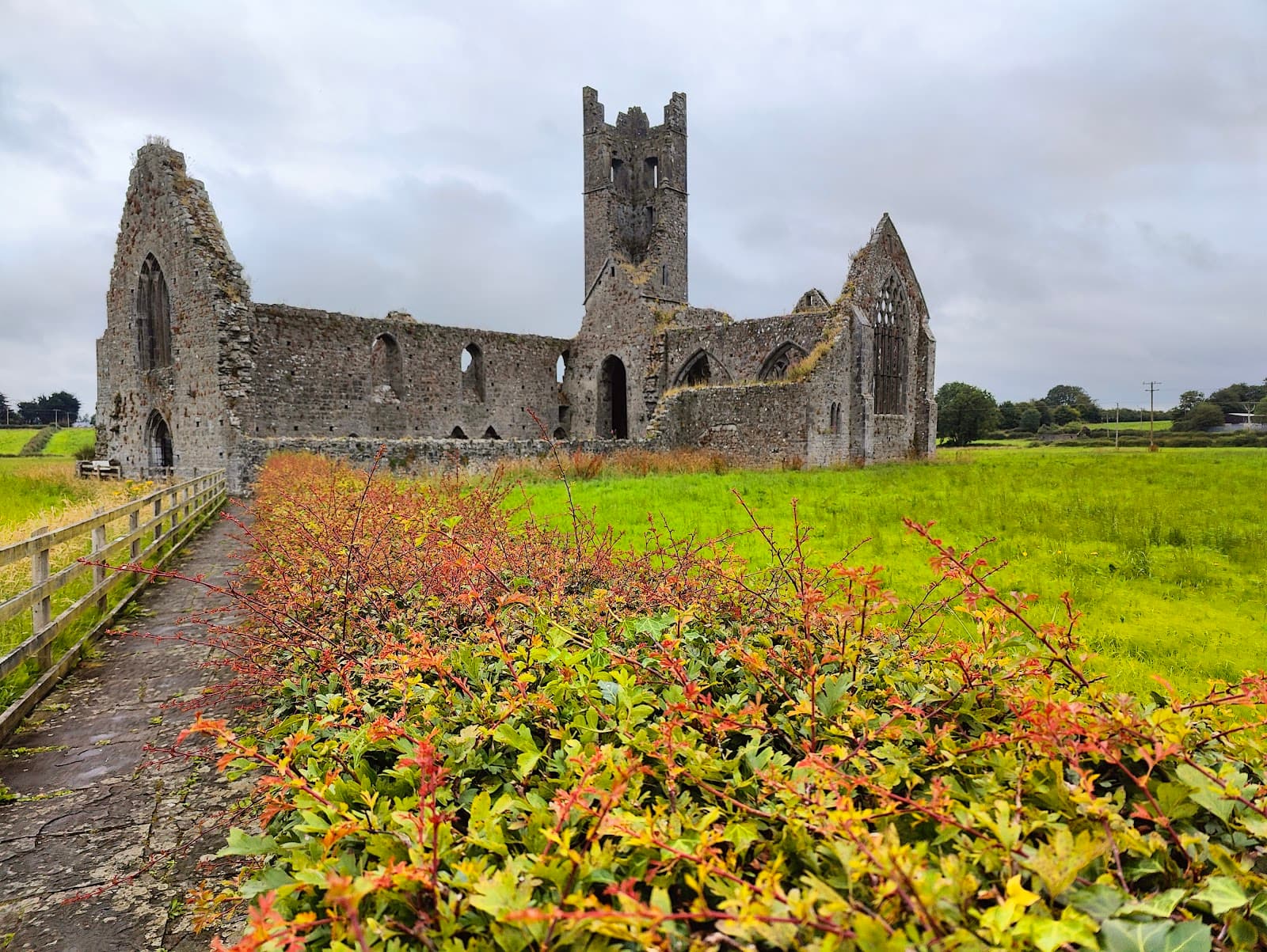 Kilmallock Dominican Priory - Image 1