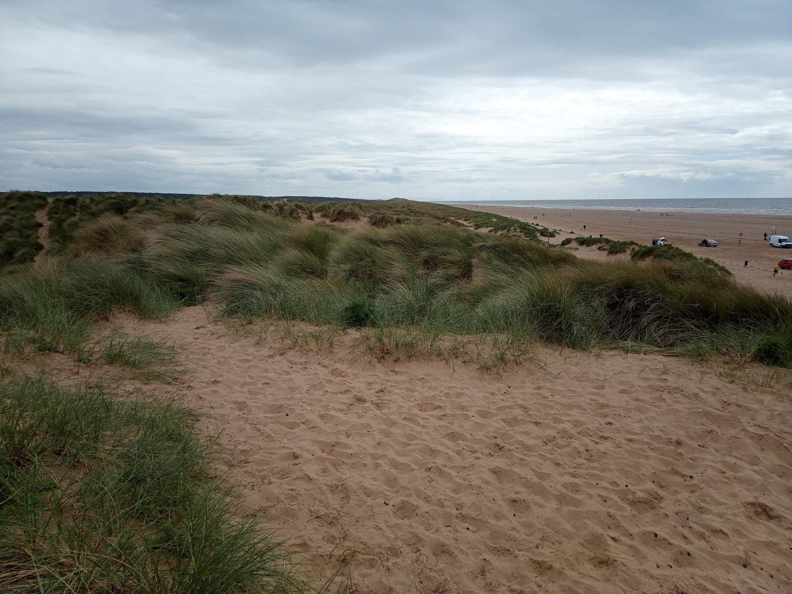 Birkdale Sandhills - Image 1