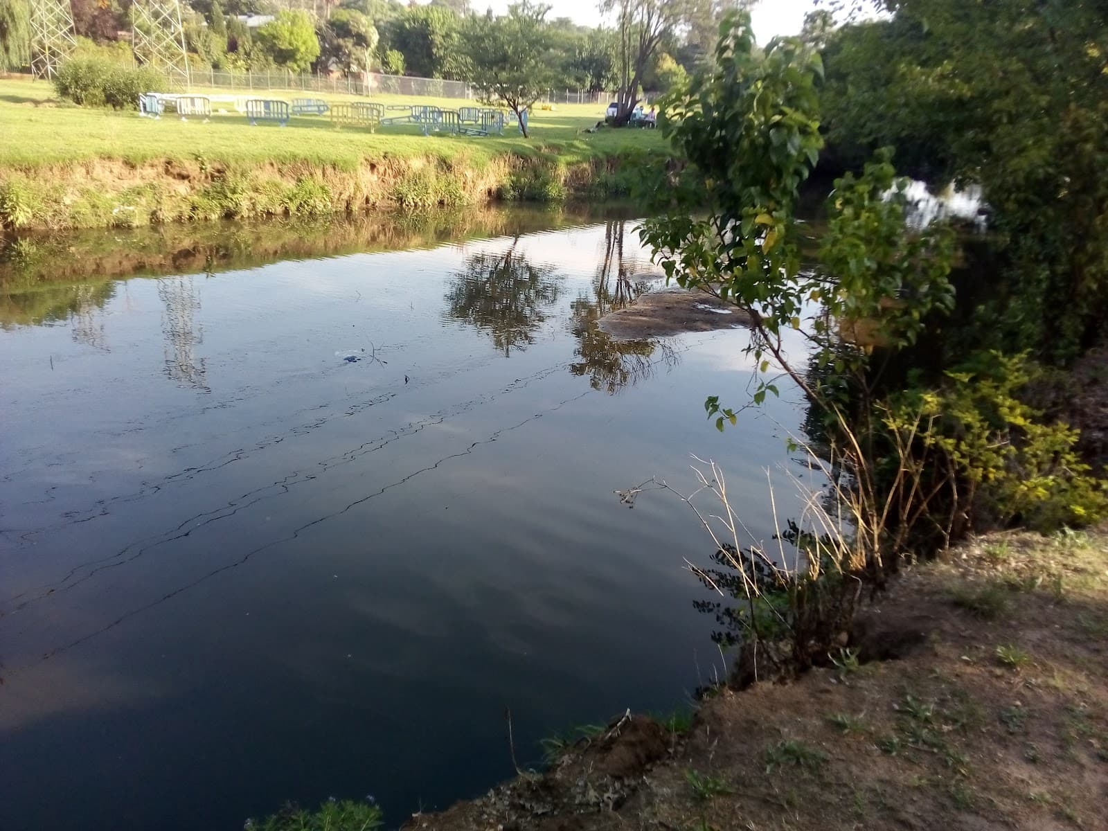 Craighall Park - Image 1