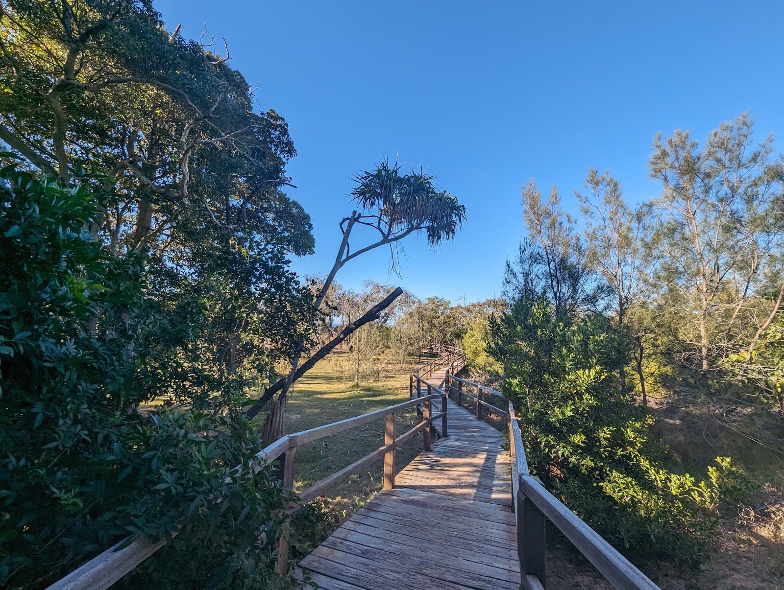 Turtle Trail - Image 1