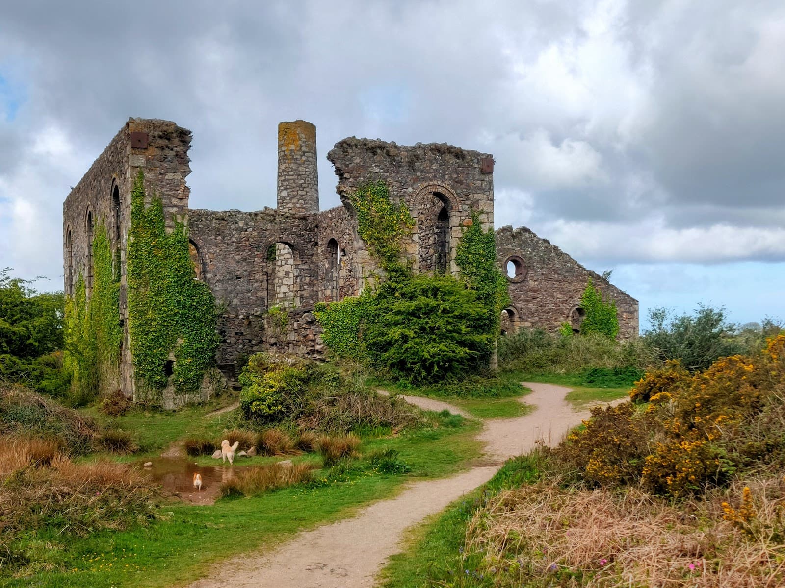 Wheal Basset & South Wheal Frances - Image 1