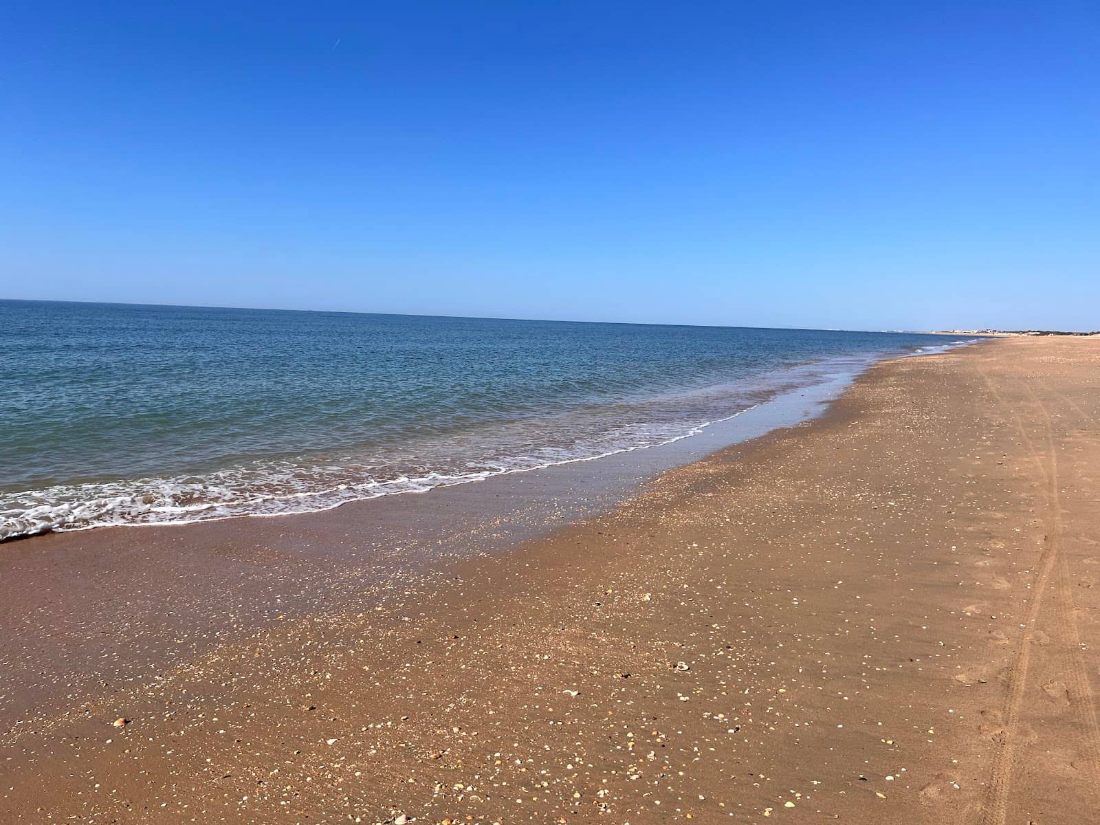 Kayak and Paddleboard Adventures