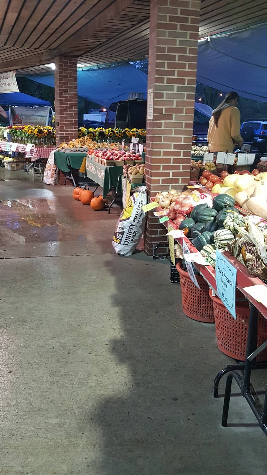 Unique Local Honey & Cheese