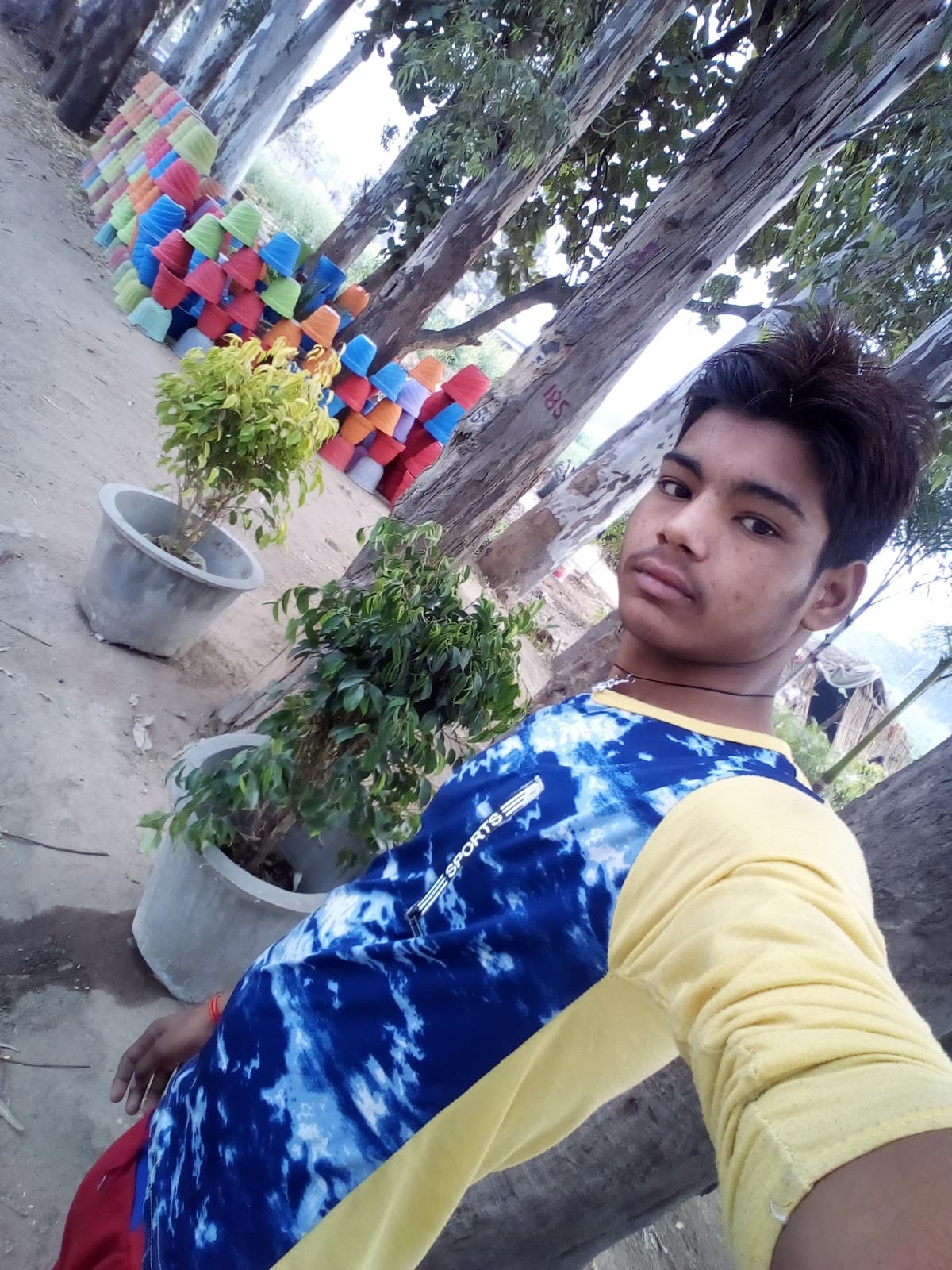 Anning Park - Image 1