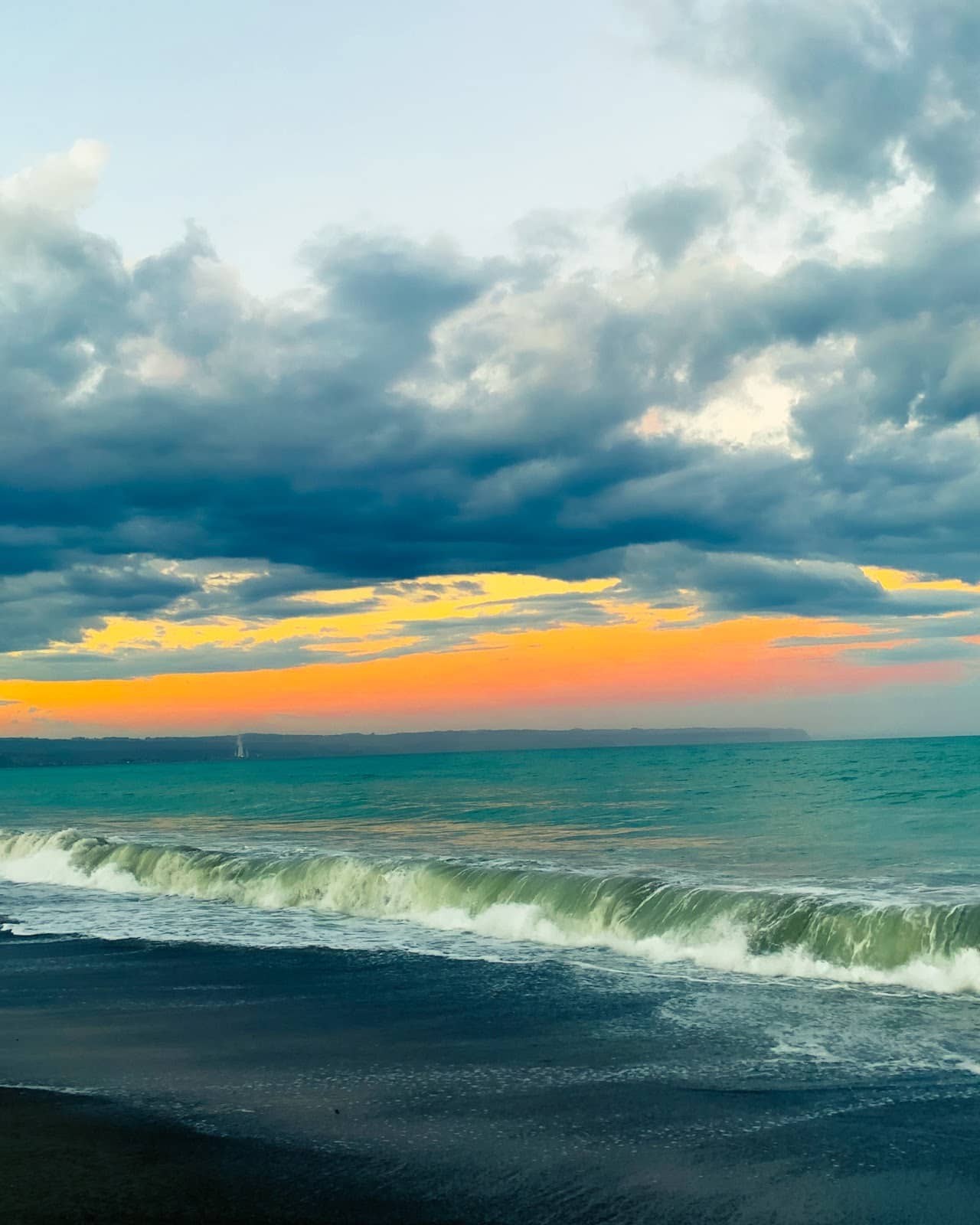 Wildlife Reserve Exploration