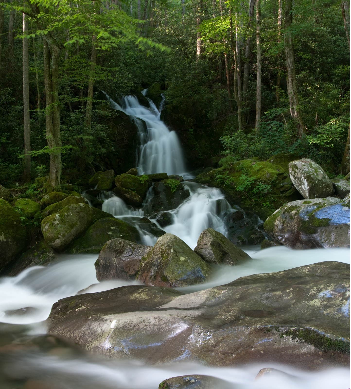 Big Creek (Midnight Hole & Mouse Creek Falls) - Image 1