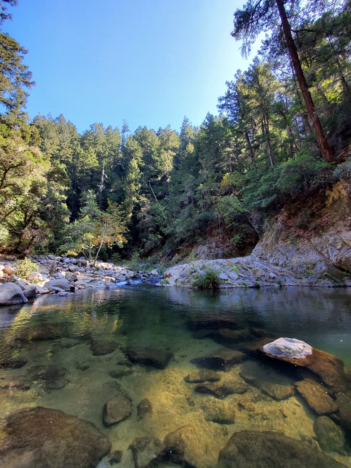 Highway 9 Scenic Drive (San Lorenzo Valley) - Image 1