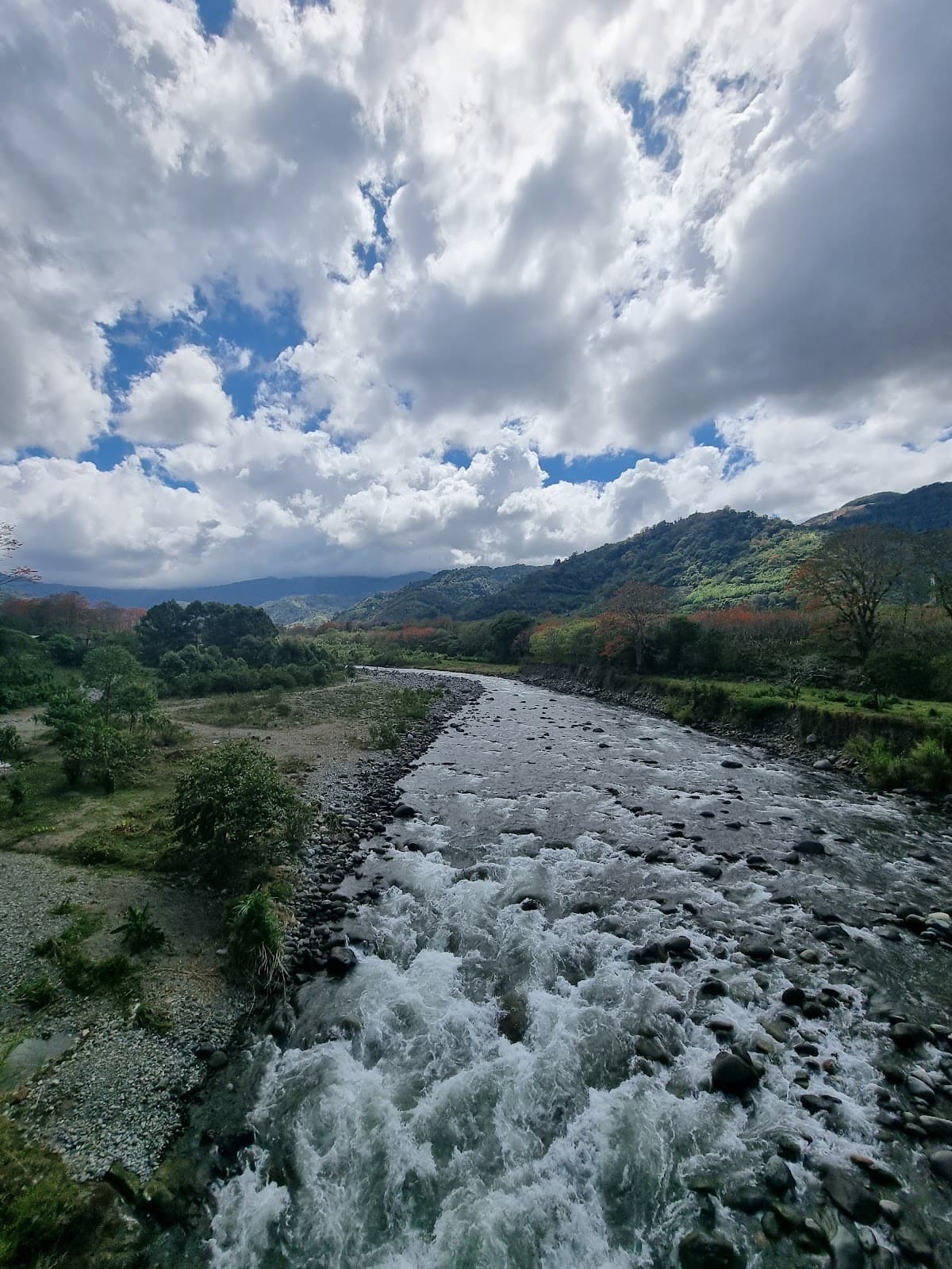 Orosi Suspension Bridge - Image 1