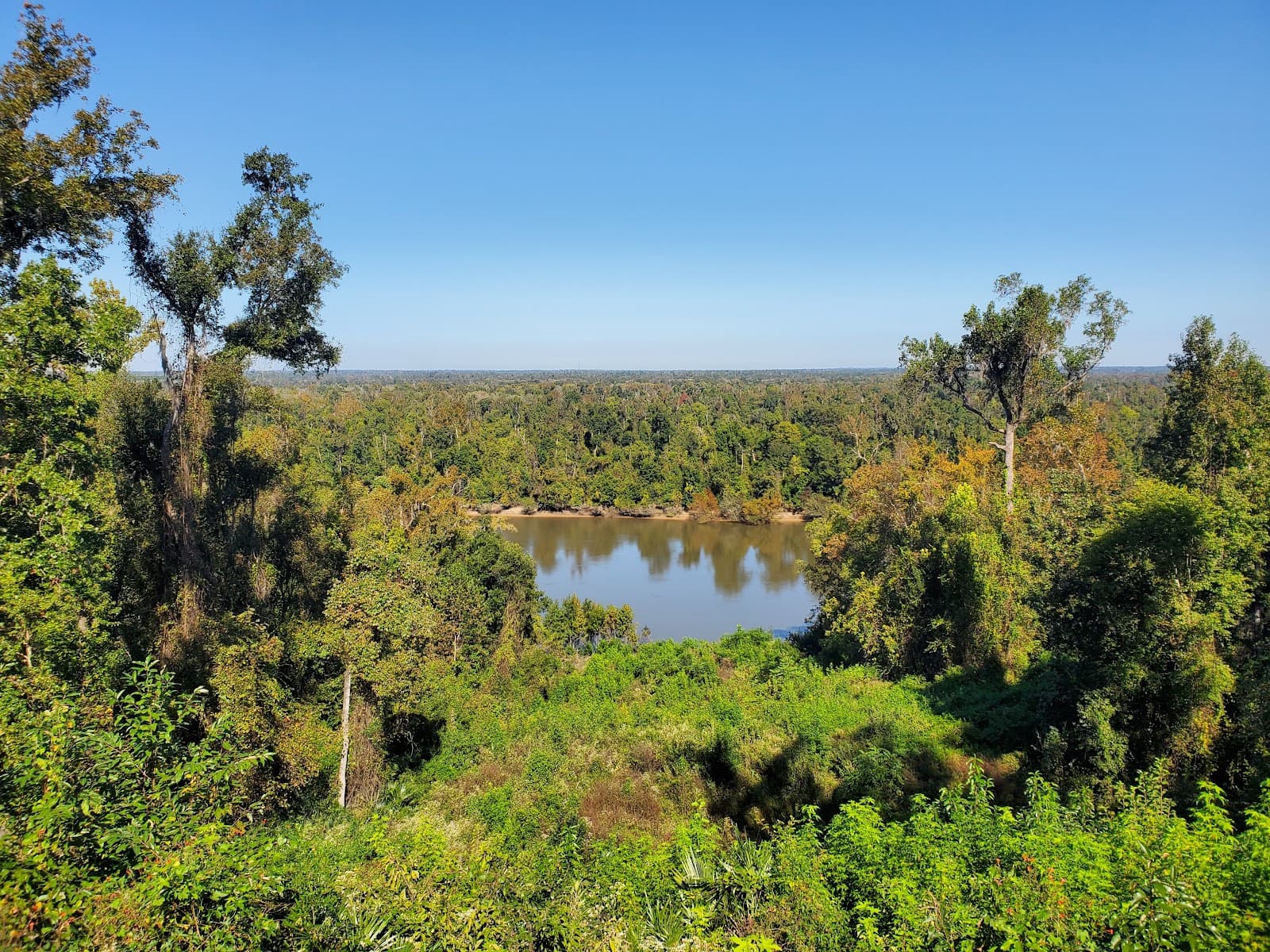 Torreya State Park - Image 1