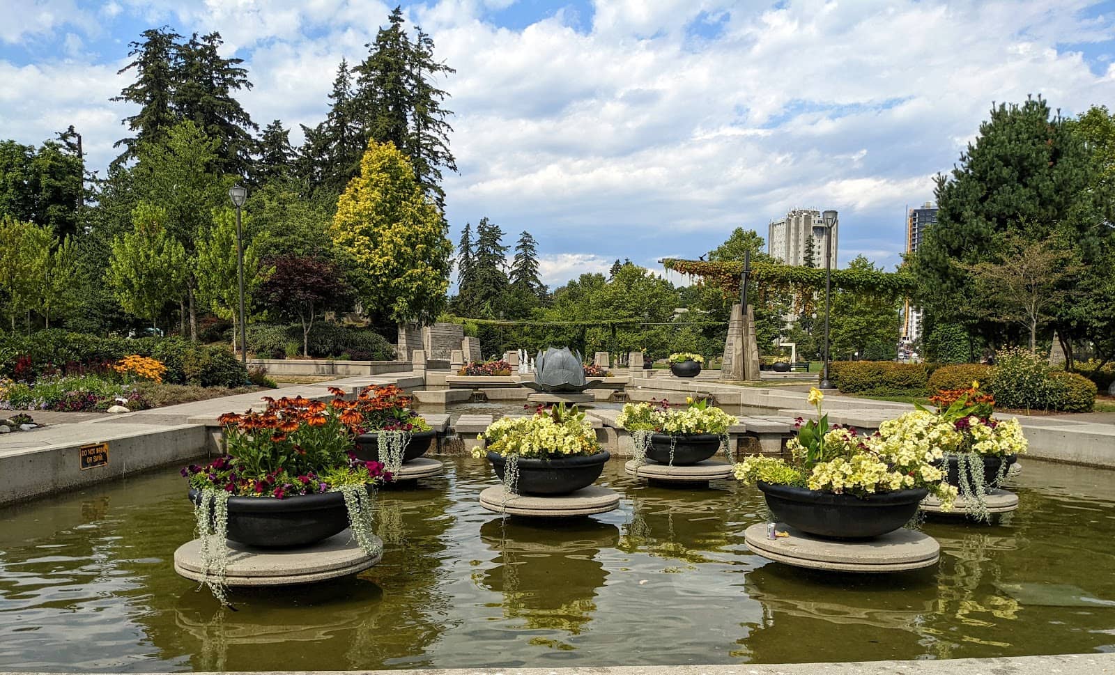 Peacocks and Wildlife
