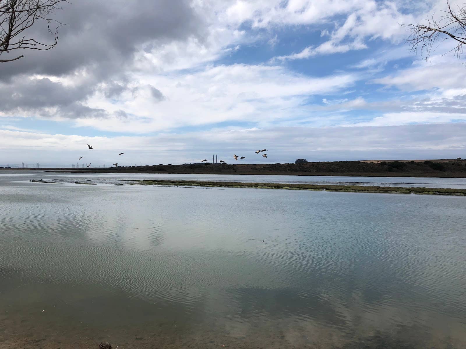 World Migratory Bird Day