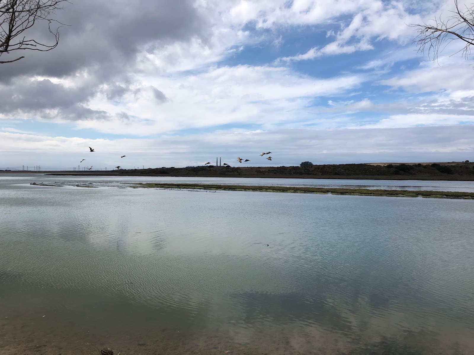 Elkhorn Slough National Estuarine Research Reserve - Image 1