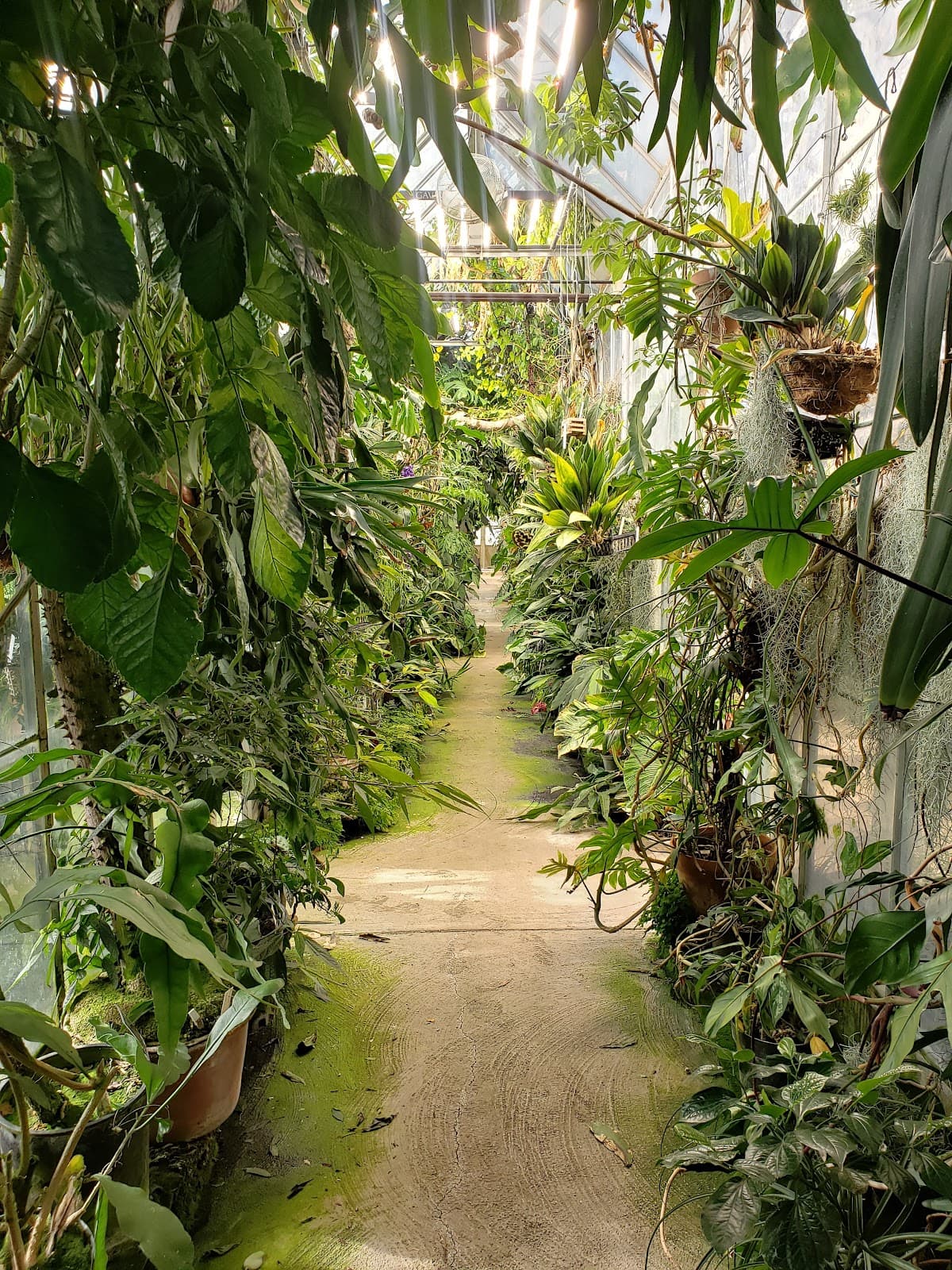 UC Davis Botanical Conservatory - Image 1