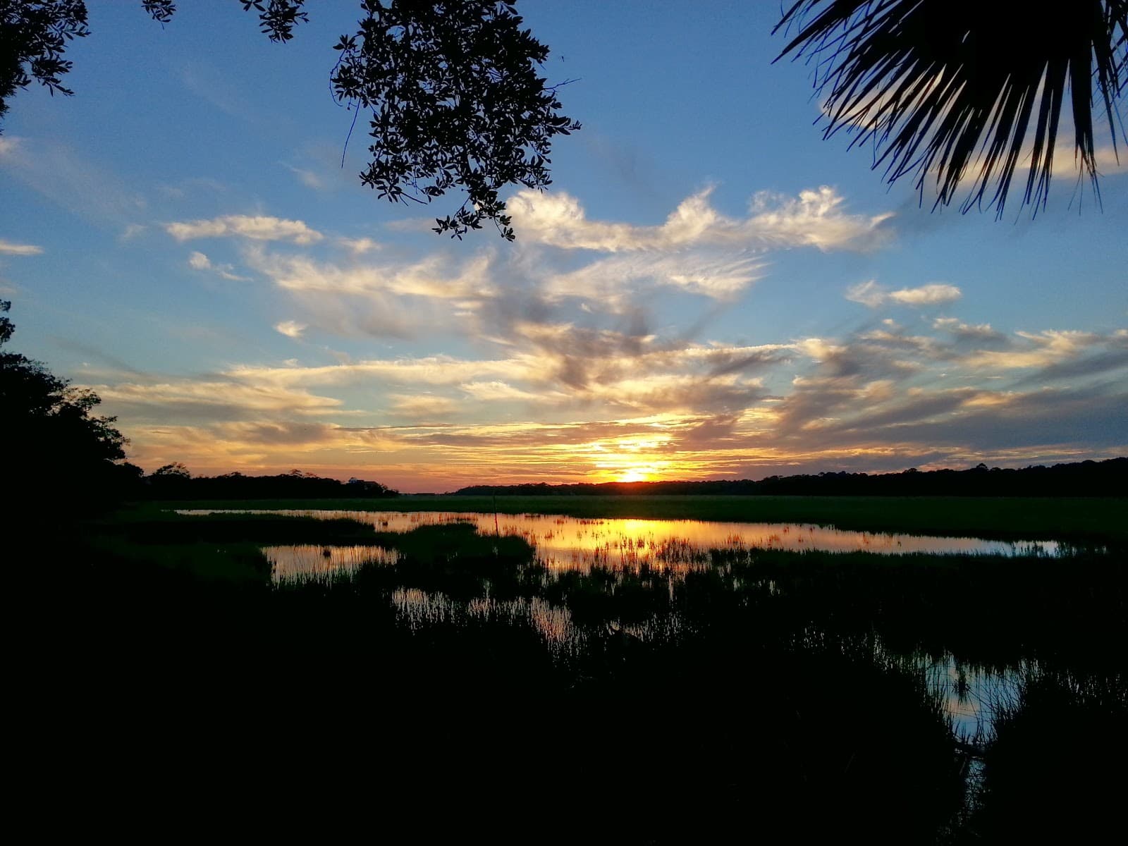 Edisto Beach State Park - Image 1