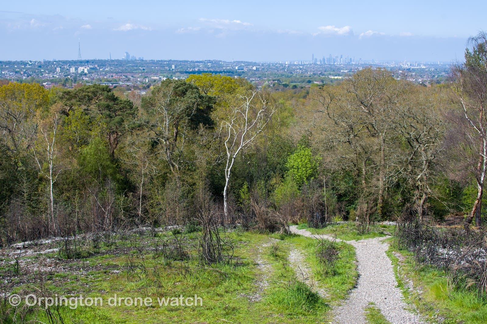 Addington Hills Viewpoint - Image 1