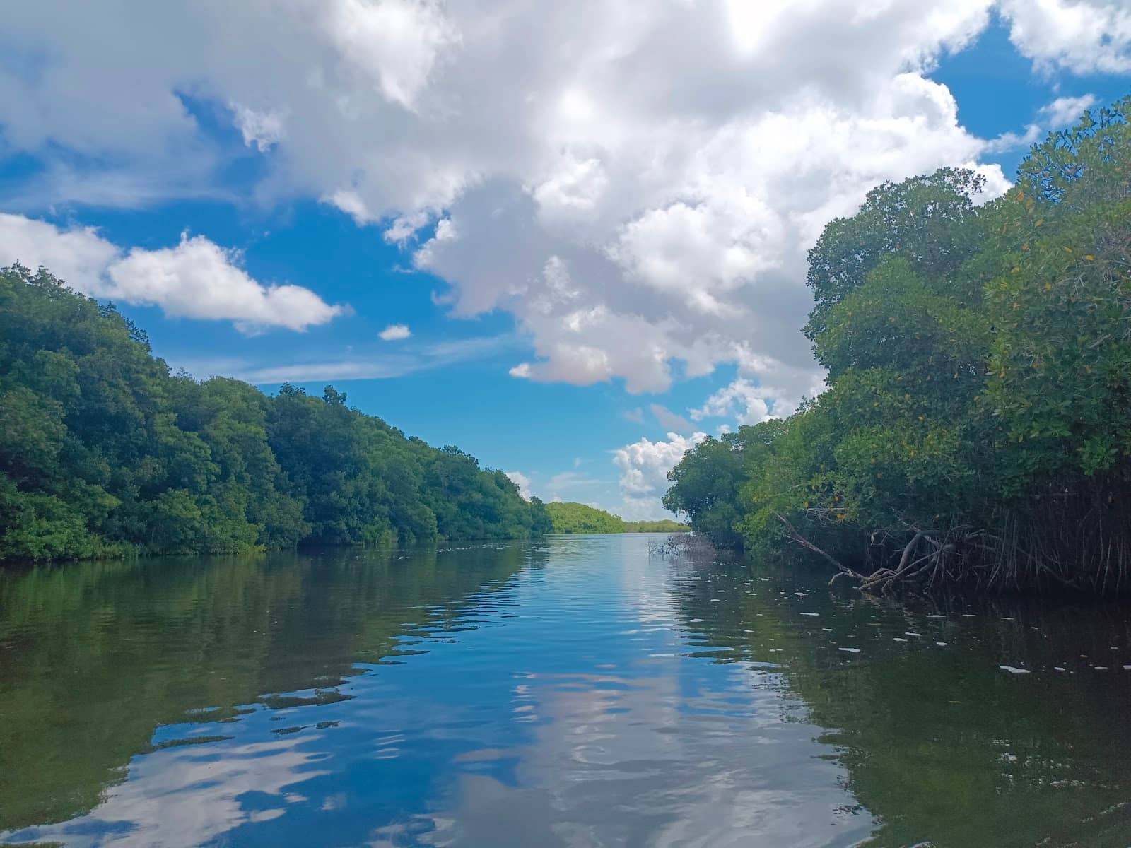 Las Coloradas Pink Lakes