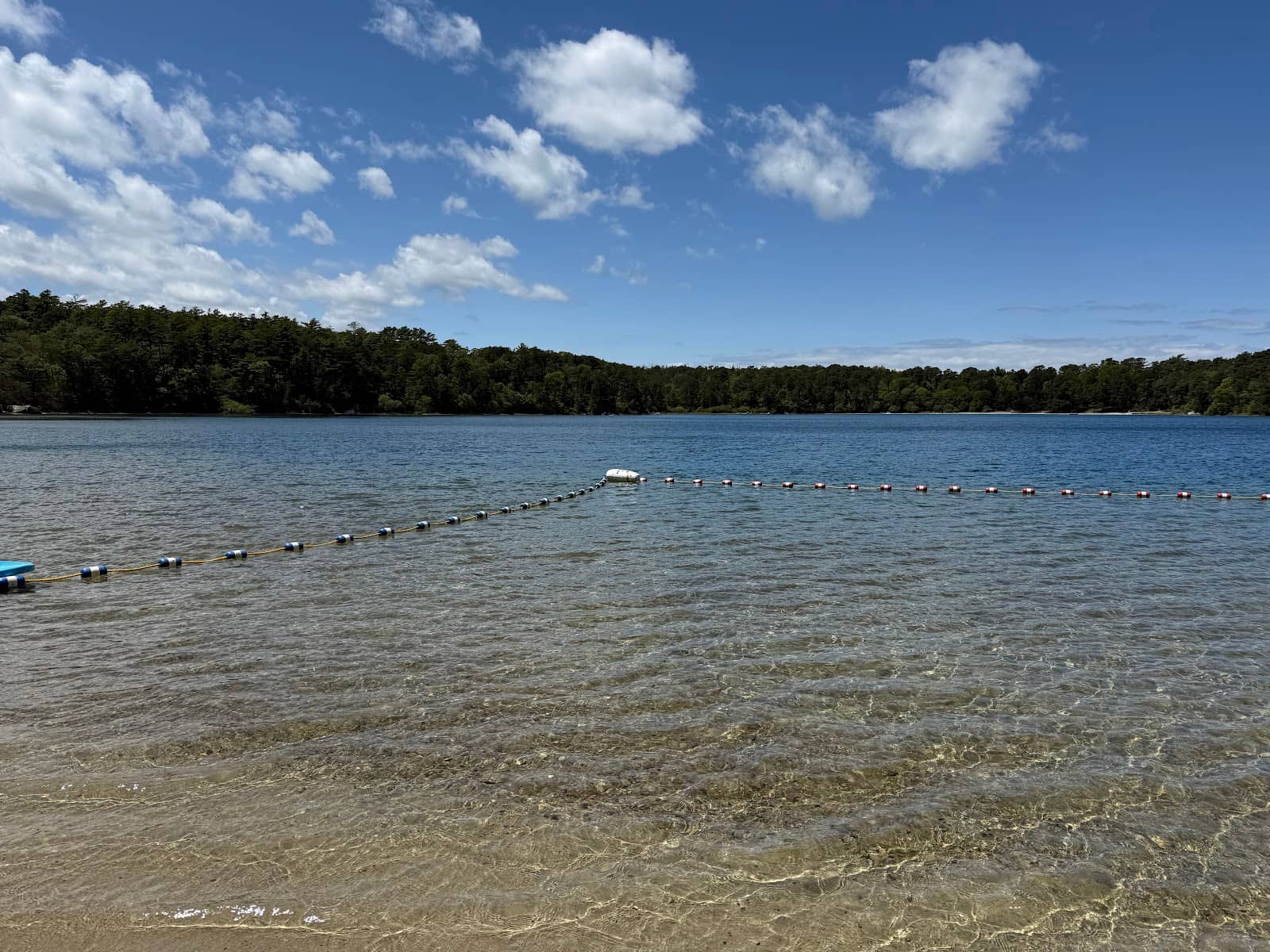 Diamondback Terrapin Monitoring