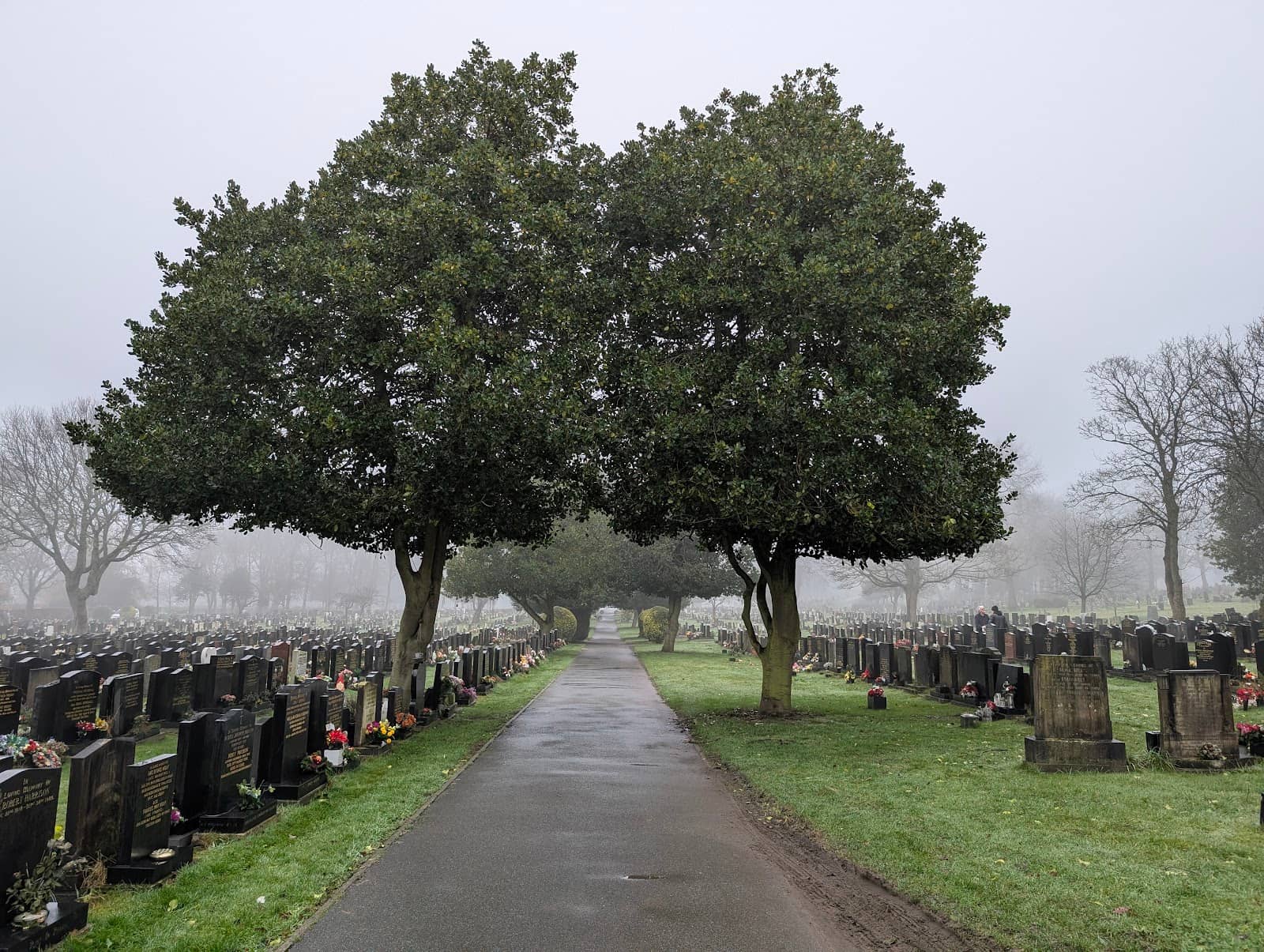 Family Grave Research