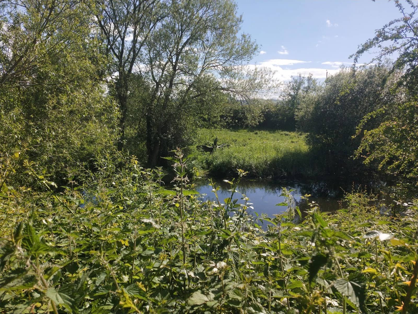 Rhuddlan Castle Views