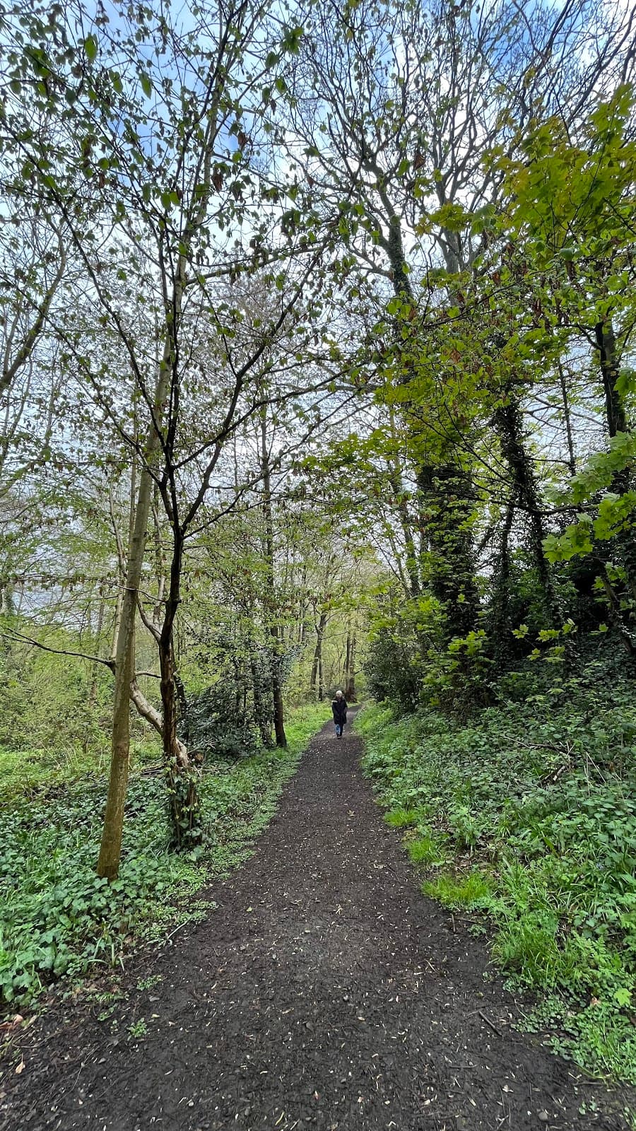Sot's Hole Local Nature Reserve - Image 1
