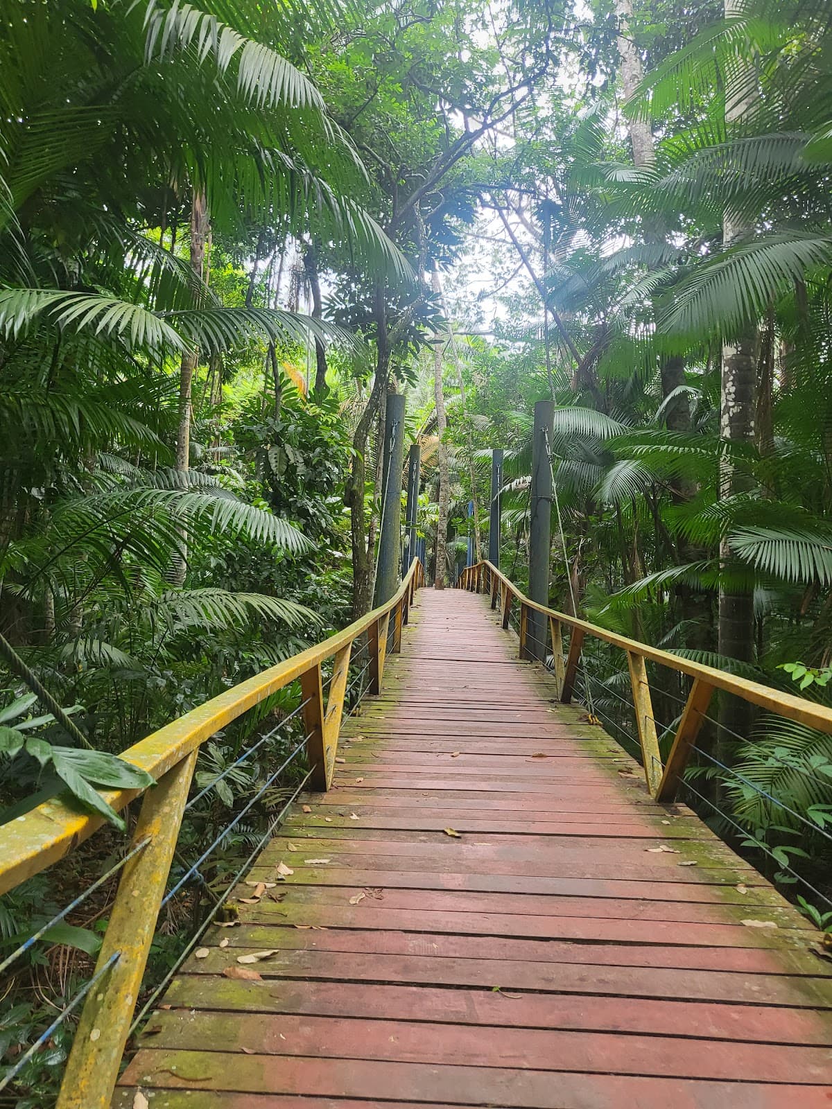 Parque do Mindu Manaus - Image 1