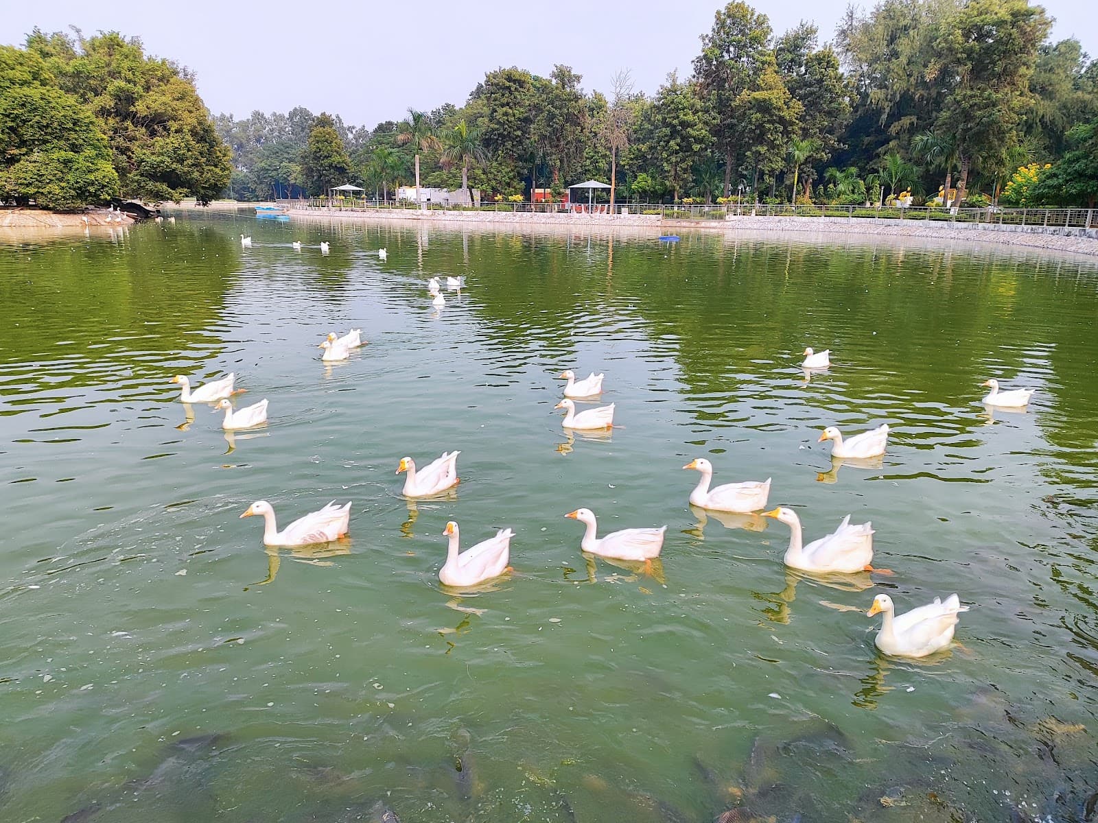 RCF Heritage Centre & Rail Museum, Kapurthala - Image 1
