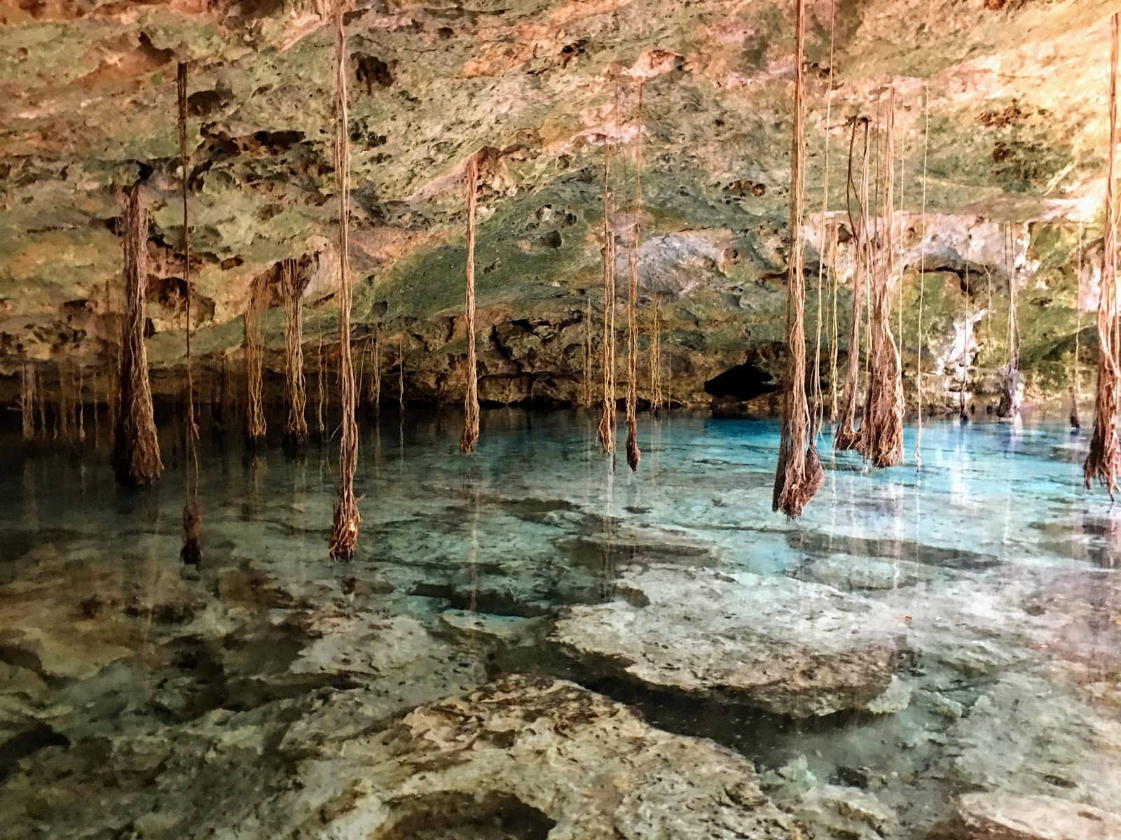Abundant Fish for Snorkeling