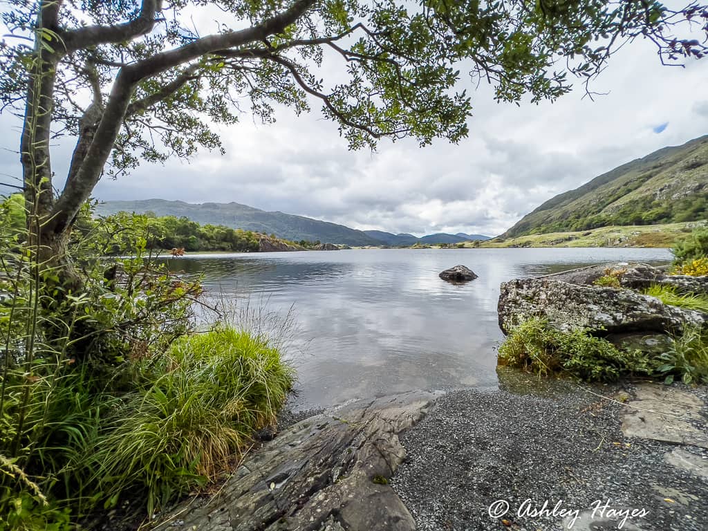 Muckross Lake Views