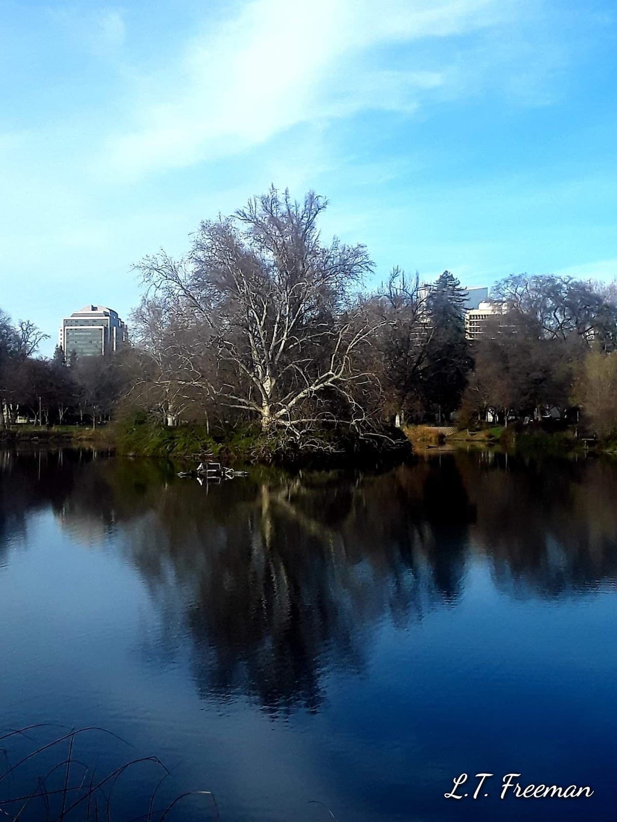 Southside Park - Image 1