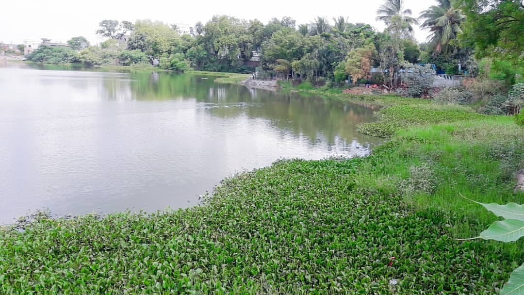 Salim Ali Bird Sanctuary - Image 1