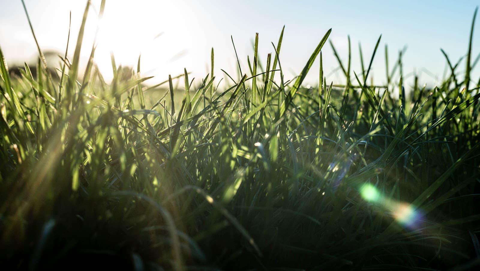 Beacon Country Park - Image 1