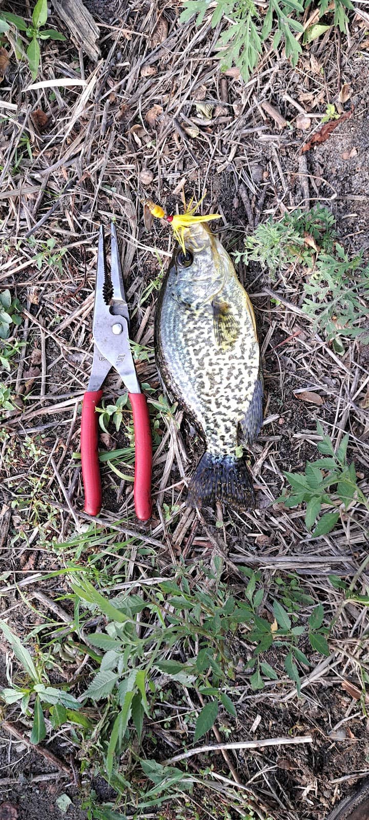 Accessible Facilities