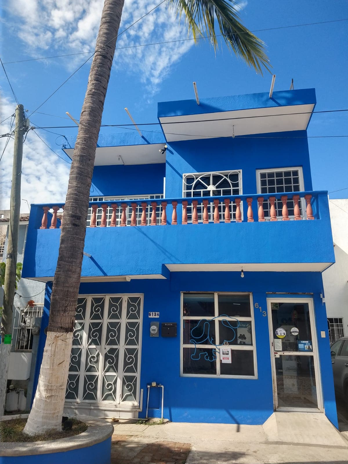 Mascota Jalisco Mexico - Image 1