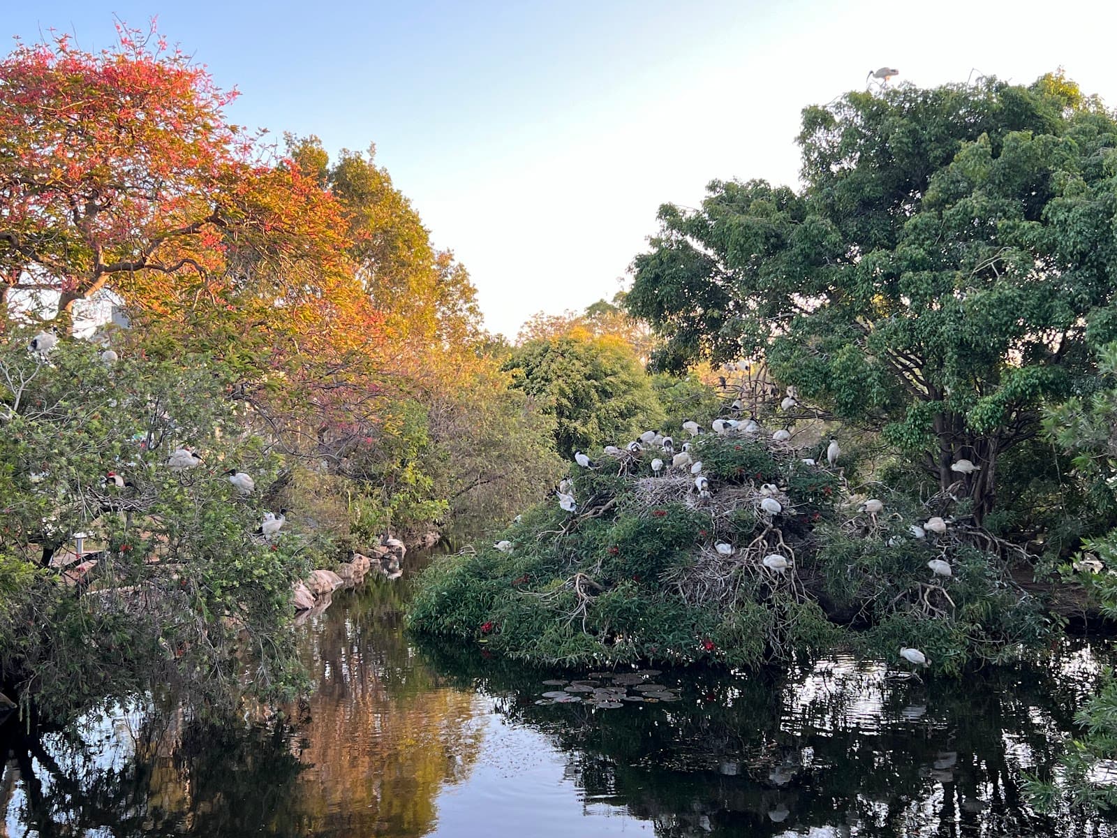 Humpybong Creek Precinct - Image 1
