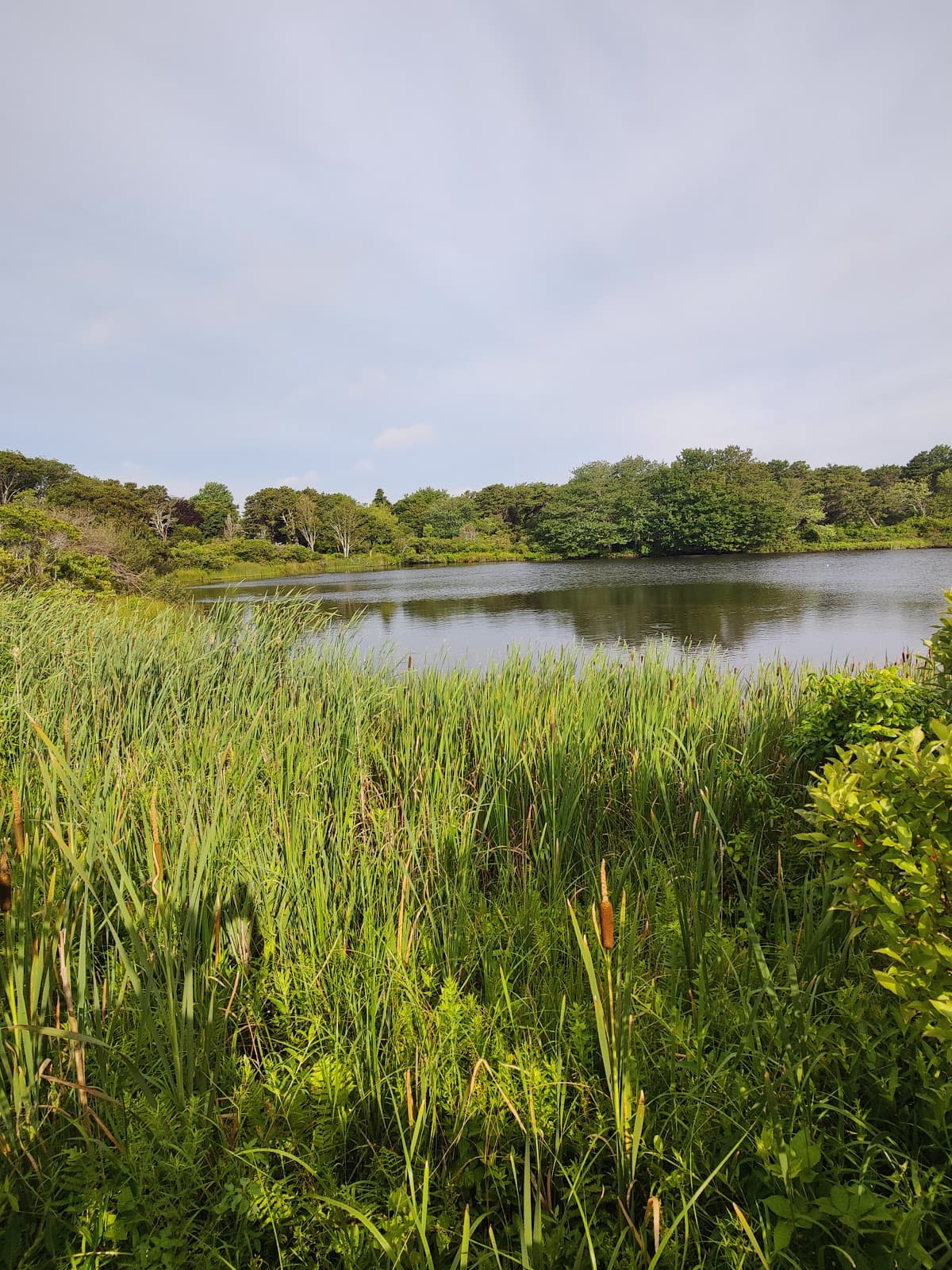 Sheriff's Meadow Sanctuary - Image 1
