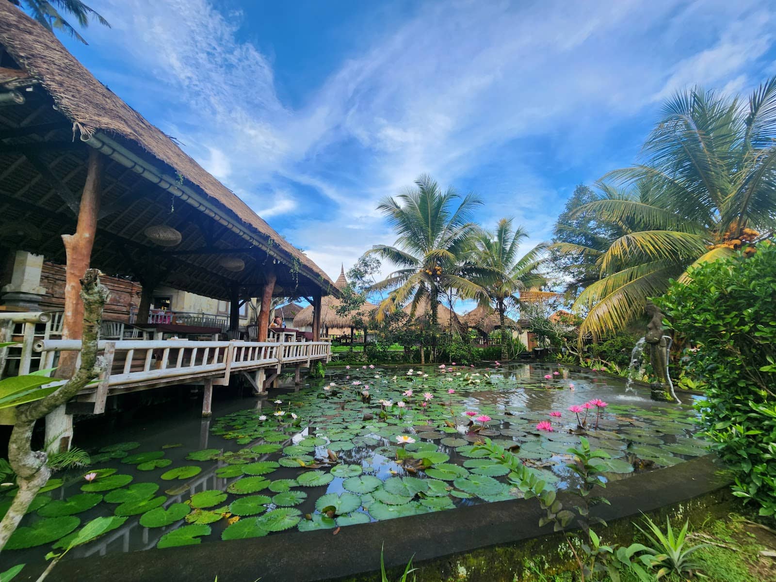 Expert Massage Therapies