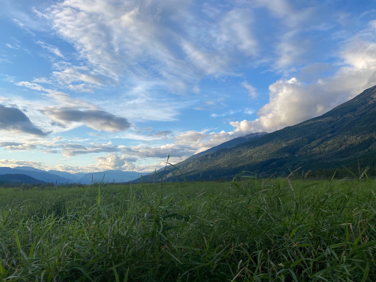 Mount Cartier Trail - Image 1