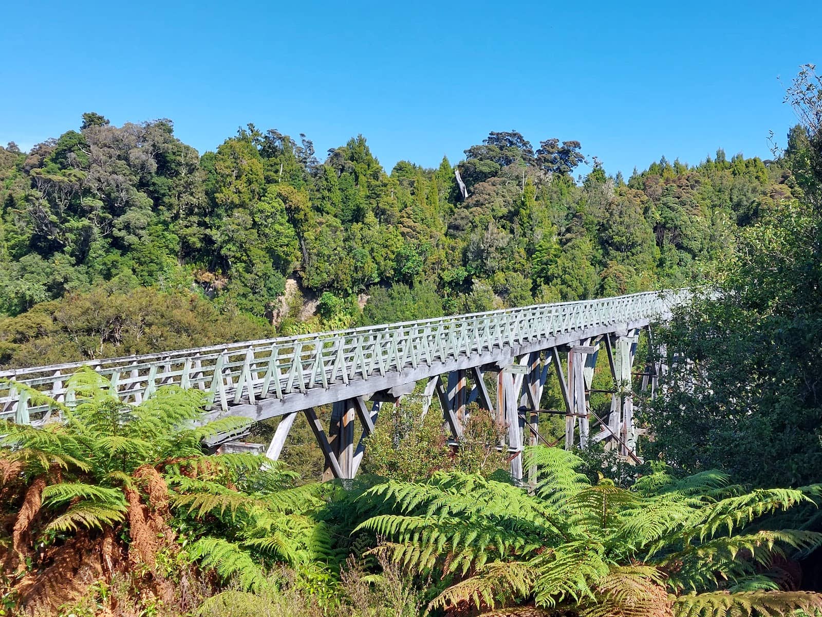 Port Craig Hut Overnight