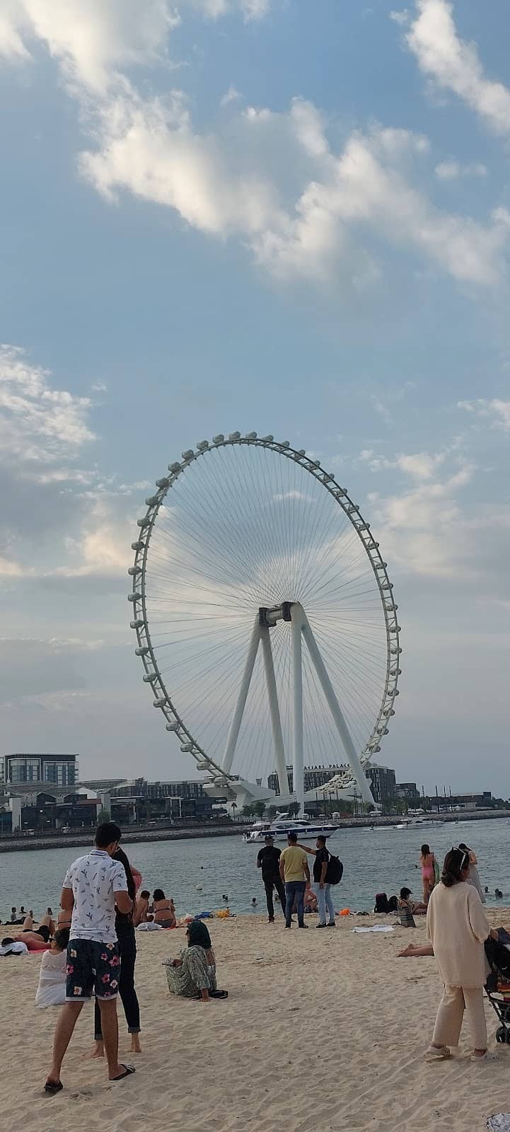 Vertical photo