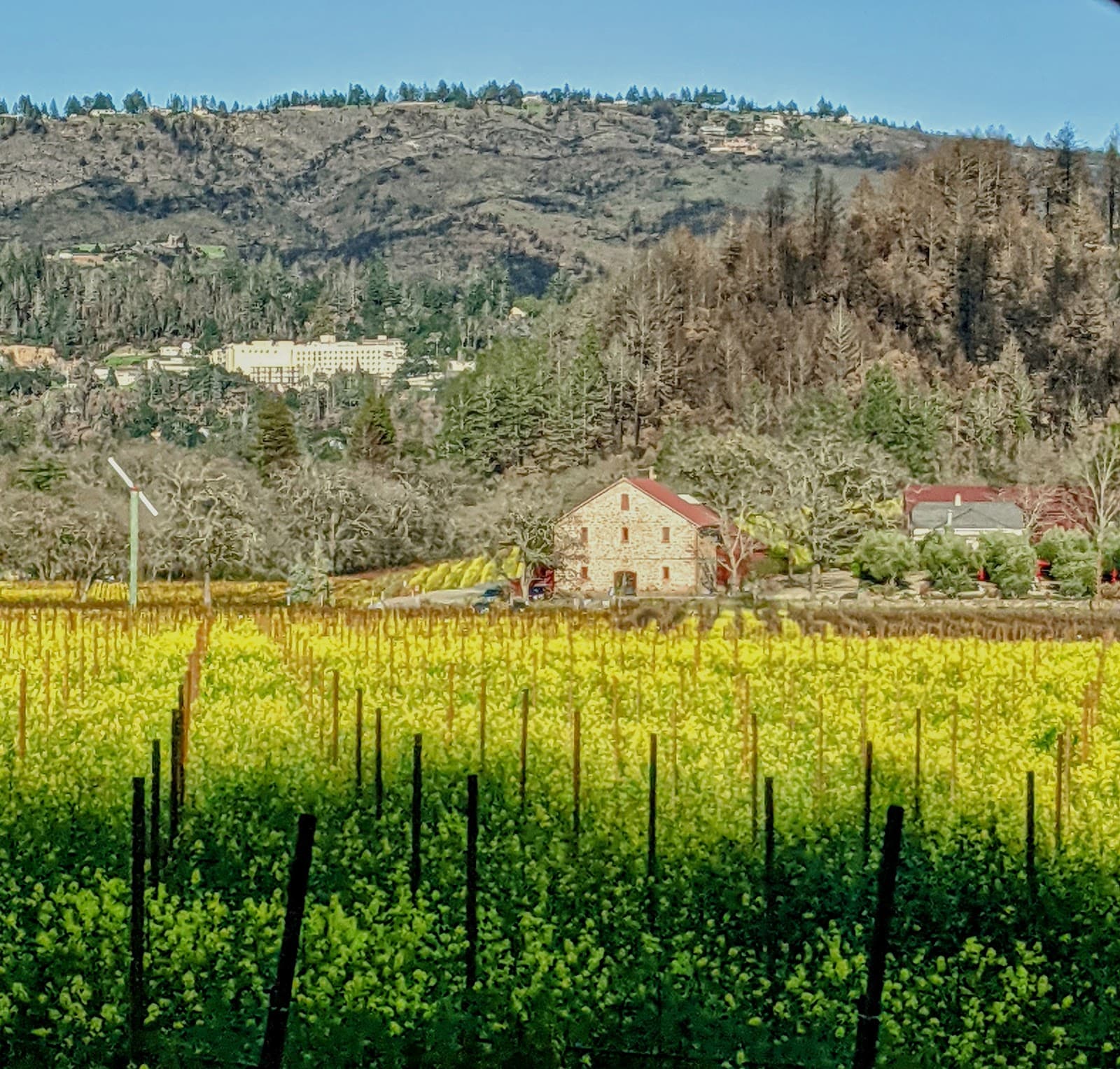 St. Helena - Image 1