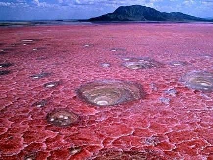 Lake Natron - Image 1