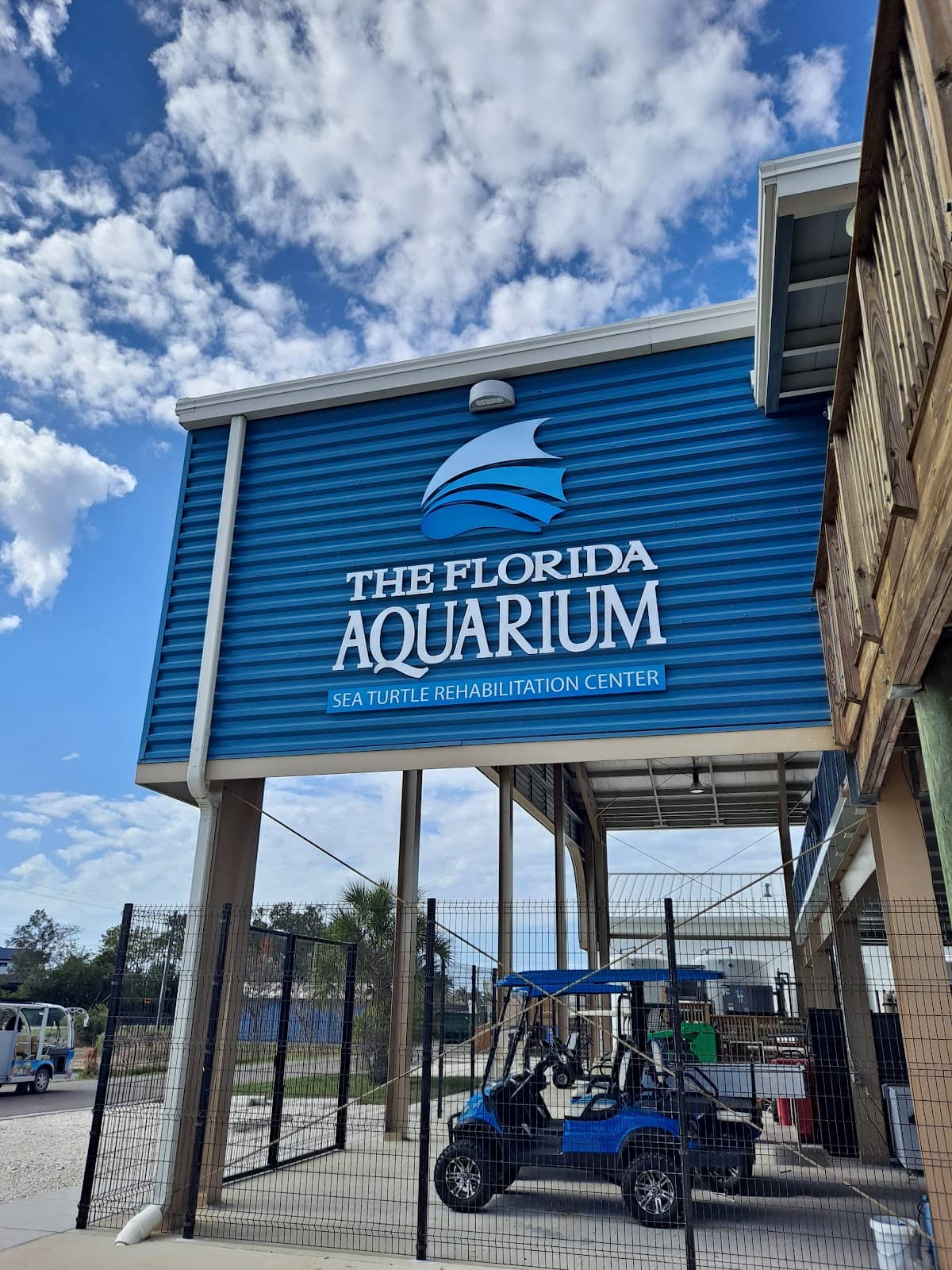 Shark & Ray Encounters