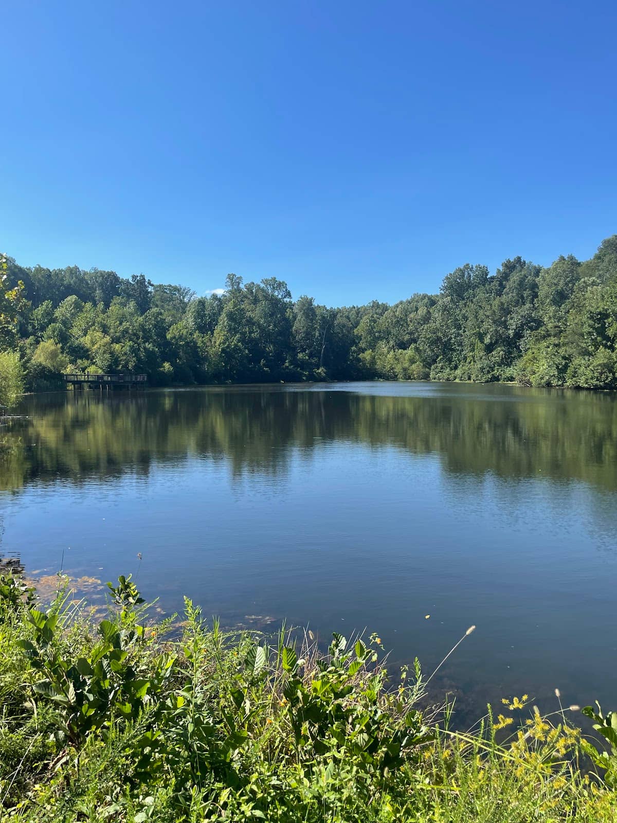 Fishing at Clemmons Lake